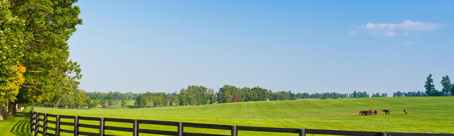 Kentucky - Pasture